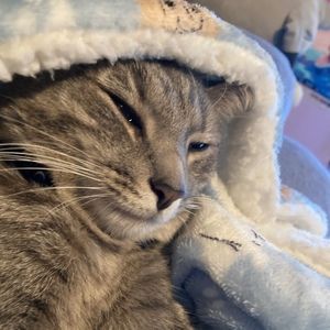 Meet your Posher, Jaylynn